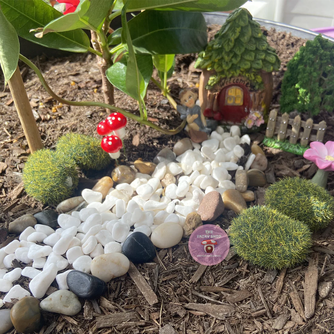 Fairy Garden Starter Kit - Welcome - Image 3