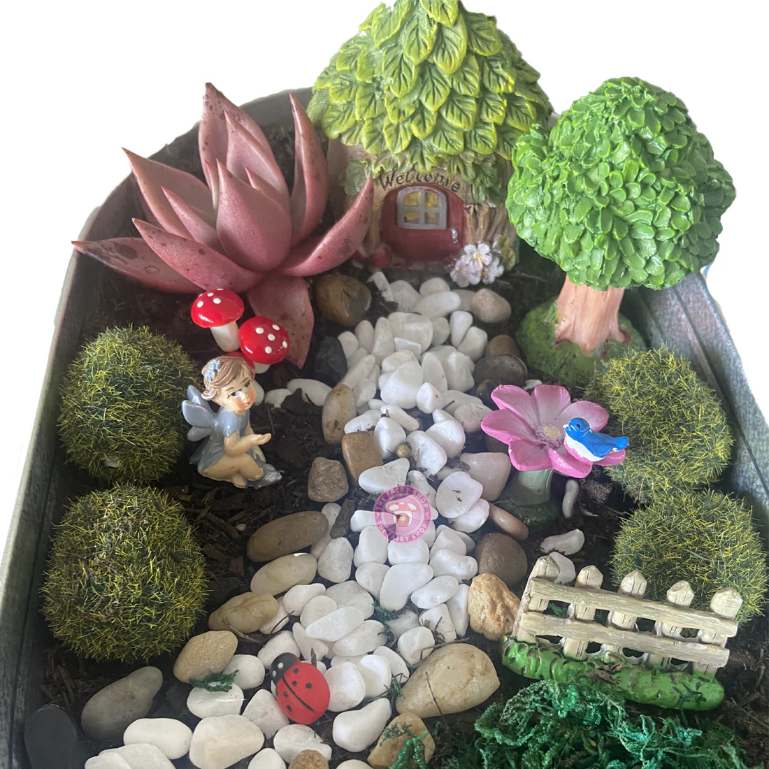 Fairy Garden Starter Kit - Welcome - Image 4