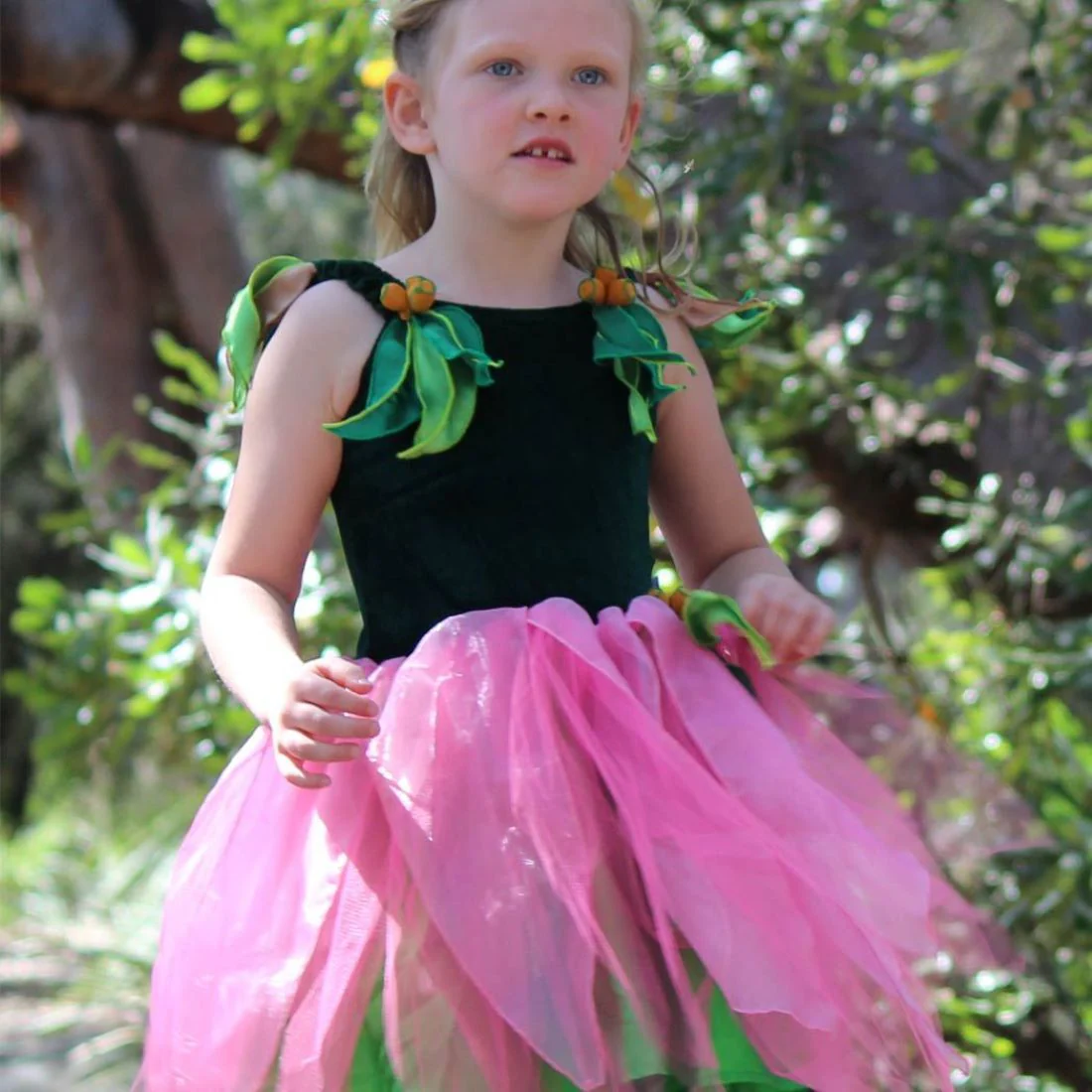 May Gibbs Little Ragged Blossom Fairy Dress - Image 5